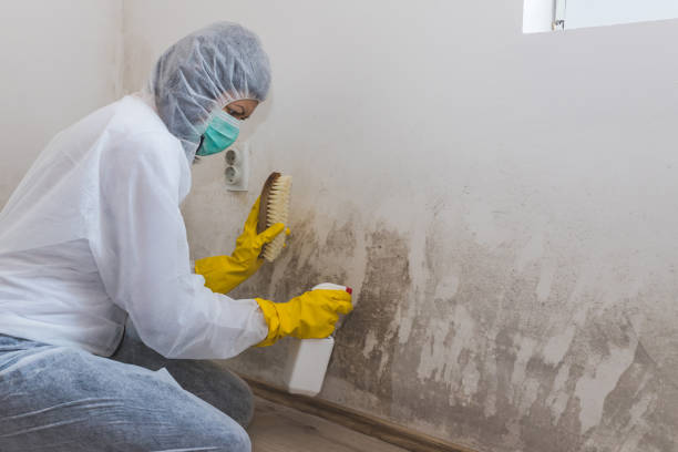 Best Water Damage Restoration  in Saugatuck, CT