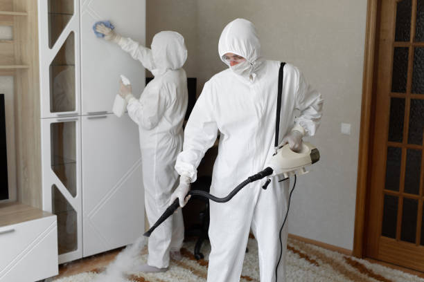 Best Home Mold Removal  in Saugatuck, CT